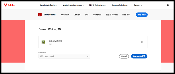 Click convert to JPG